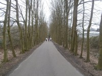 /album/fotogalerij/p2270100-jpg/